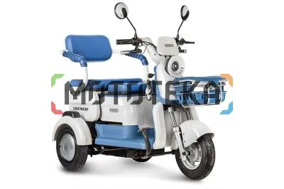 Пассажирский электротрицикл Rutrike (Рутрайк) Gelbert Mercury 48V/60V 650Вт