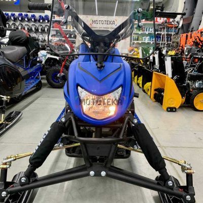 Снегоход IRBIS (Ирбис) Dingo T200 (Ирбис Динго Т200) синий с ПСМ